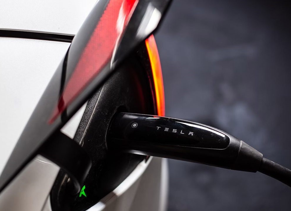 Ipsum cursus vestibulum at interdum Vivamus